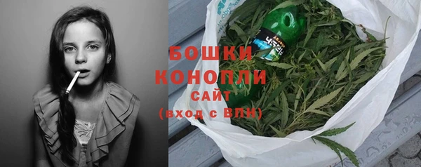 ПСИЛОЦИБИНОВЫЕ ГРИБЫ Михайловск