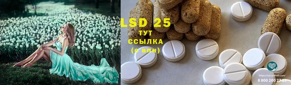 ПСИЛОЦИБИНОВЫЕ ГРИБЫ Михайловск