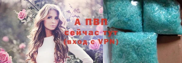 ПСИЛОЦИБИНОВЫЕ ГРИБЫ Михайловск