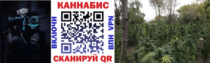 Шишки марихуана план  Купить закладки  Шебекино
